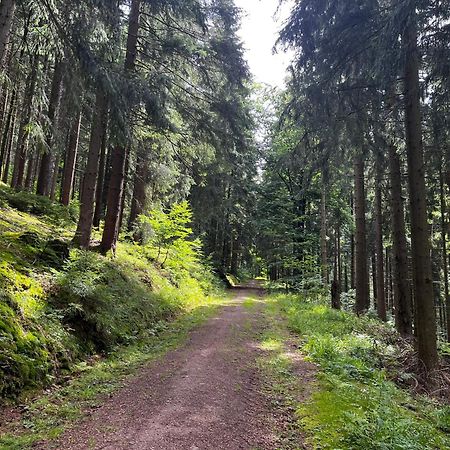 Gaestehaus Im Erzgebirge Zwönitz Екстериор снимка